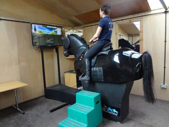mechanical horse simulator